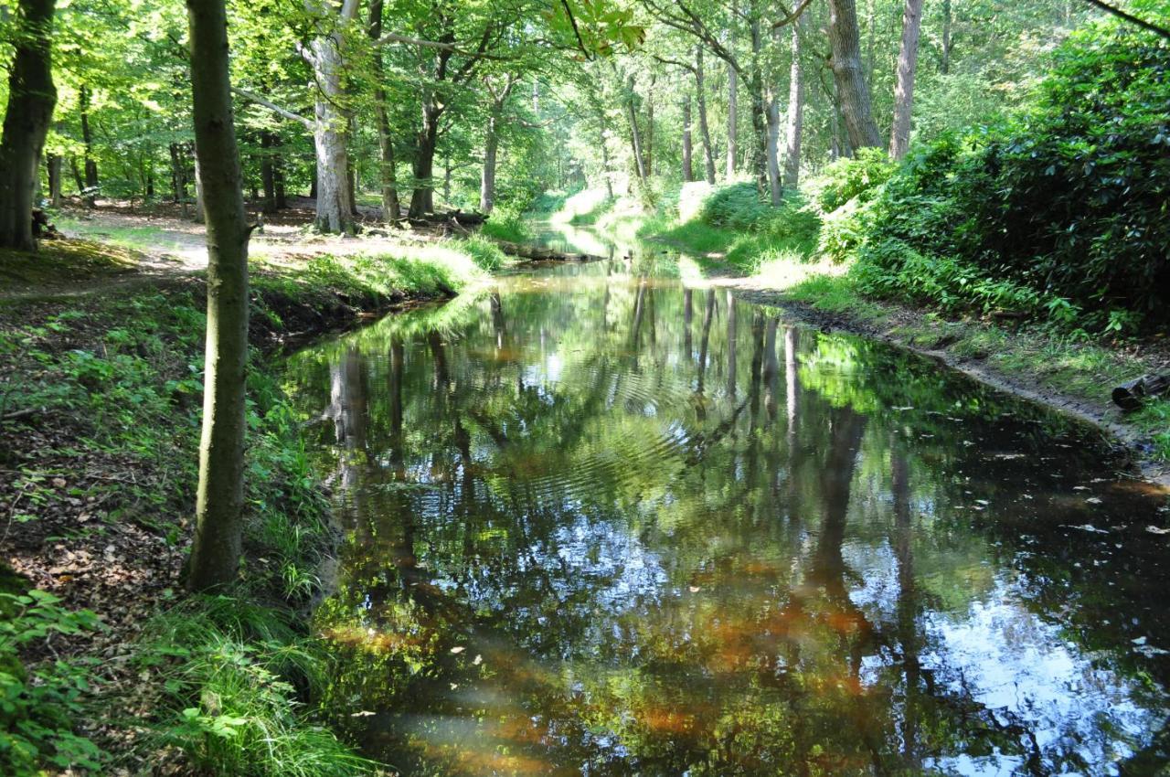 Gasterij Leyduin Villa Vogelenzang Kültér fotó